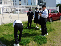 DSCN0175