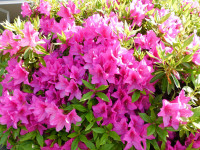 DSCN0171