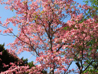 DSCN0164