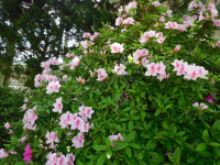 DSCN0169