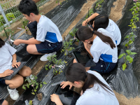 自主学習_里見　尚亮_2026年5月28日のノート_1