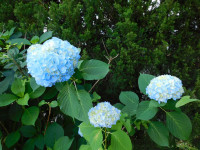 DSCN6823