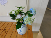 DSCN6825