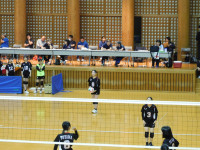 DSCN7185