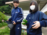 DSCN7495
