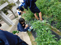 DSCN7501
