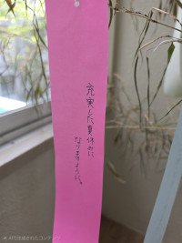 20260713_104501(1)