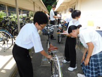 DSCN7866