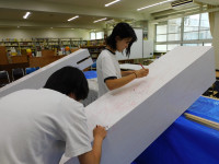 DSCN8020